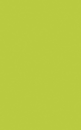 Pomme Verte P092FA Płyta Blat cienki kompaktowy HPL cała płyta arkusz KOSMAZ INEXTERIO